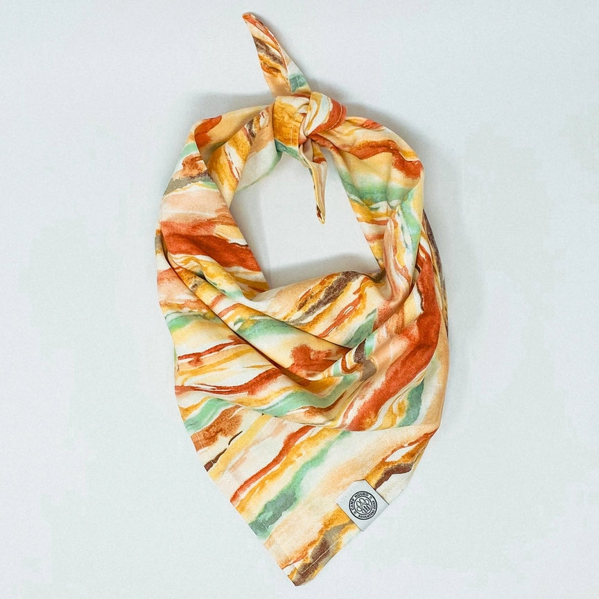 desert canyon bandana