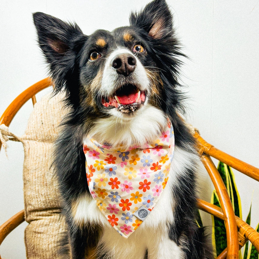 daisy bandana